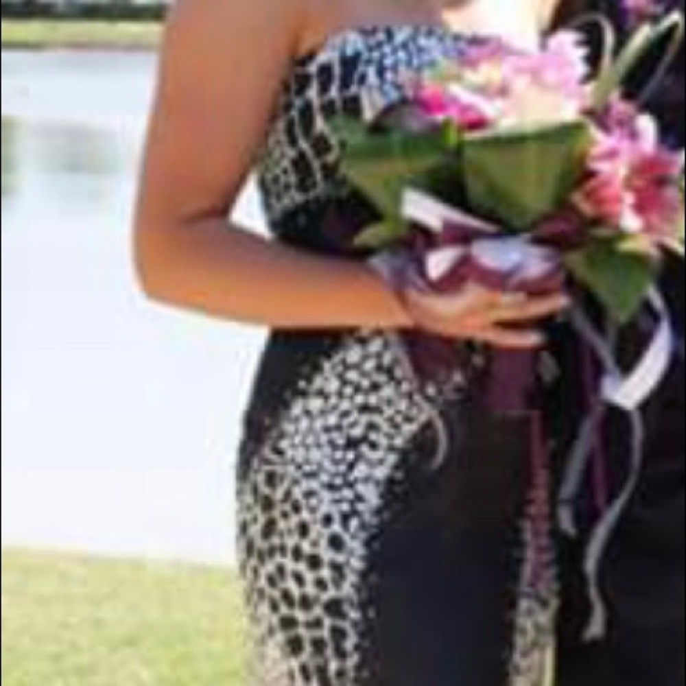Prom Dress - Picture 4 of 5